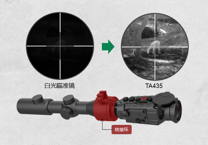 5c8092d432267.png 02.png