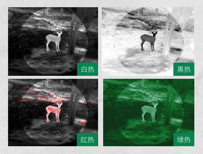 5c809303d0459.jpg 04.jpg