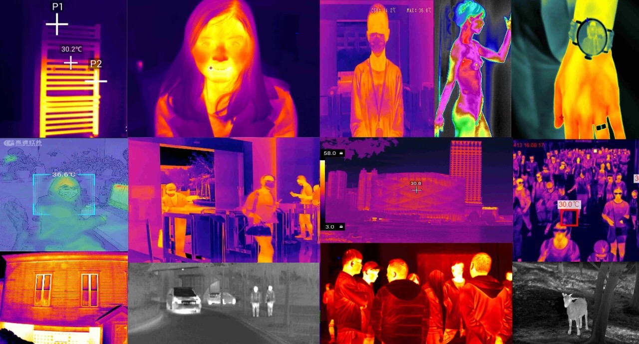 5fa249964ca18.jpg f.jpg