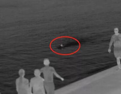 60fa522742fb9.jpg 紅外熱像儀搜查落水人員.jpg